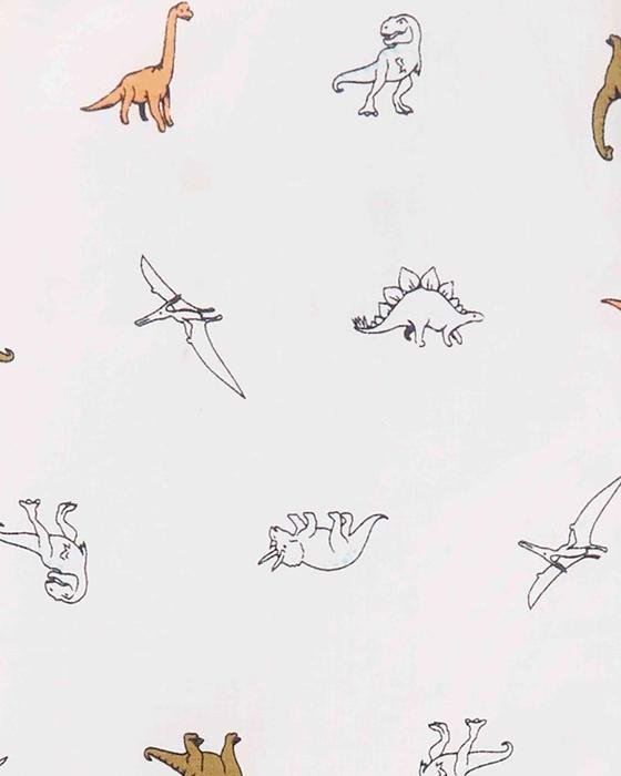 Erkek Çocuk Dinozor Desenli Kısa Kollu Şort Gömlek Set 2'li Paket 192136886723 | Carter’s