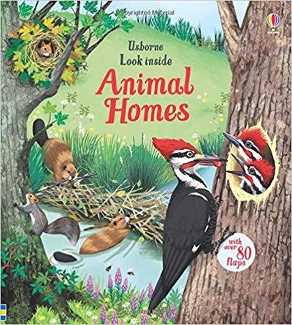  İngilizce Kitap Look Inside Animal Homes 5 Yaş+