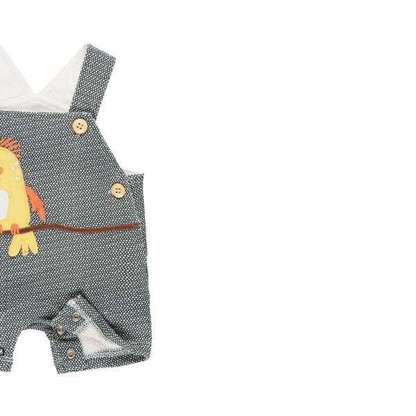  Erkek Bebek Kuş Desenli Kısa Kollu Şortlu Salopet Set 2'li Paket