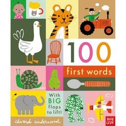  İngilizce Kitap 100 First Words 6 Ay+