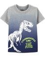 Erkek Çocuk Dinozor Baskılı Tişört 192135681794 | Carter’s
