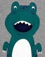 Erkek Çocuk Dinozor Baskılı Sweatshirt Gri 194133514494 | Carter’s