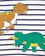 Erkek Bebek Dinozor Desenli Uzun Kollu 2'li Set 194133410864 | Carter’s