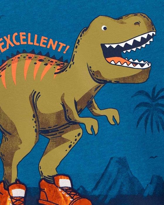Erkek Çocuk Dinozor Desenli Uzun Kollu Tişört Mavi 194133510755 | Carter’s