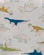 Erkek Çocuk Dinozor Desenli Uzun Kollu Pijama 4'lü Paket 194135407329 | Carter’s