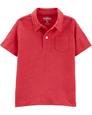 Küçük Erkek Çocuk Polo Tshirt - PW 192135439920 | Carter’s