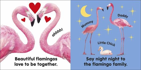  Baby Touch And Feel Flamingo 1 Yaş+