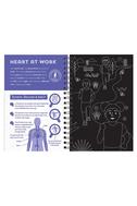  Human Body - Scratch Discover And Learn