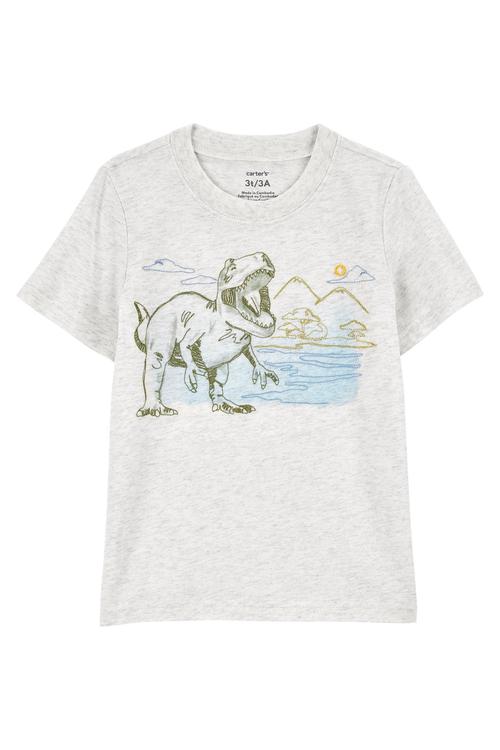 Küçük Erkek Çocuk Tshirt 195862998685 | Carter’s