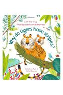  Usborne - Lift the Flap First Q&A Why Do Tigers Have Stripes?